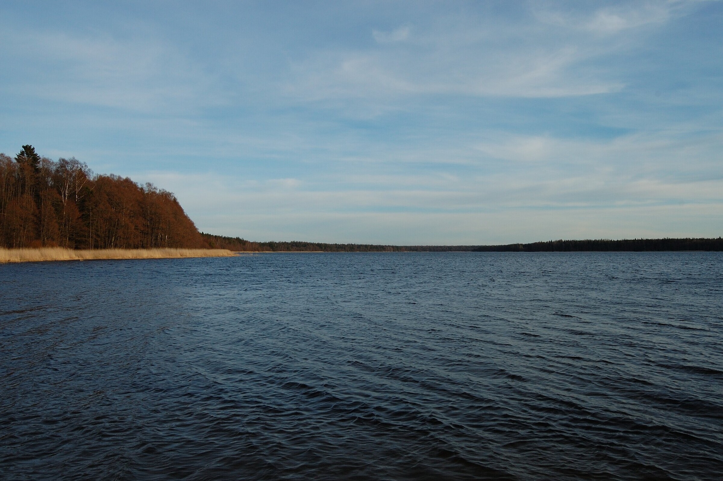 Суздальские озера, санкт-петербург: можно ли купаться, пляжи, рыбалка, отели – туристер.ру