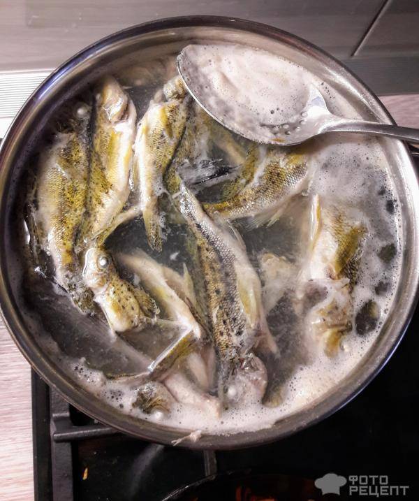 Как варить уху из речной и морской рыбы дома и на костре правильно