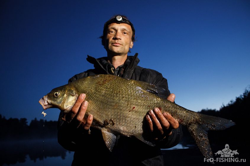 Рыбалка в новгородской области: лучшие места на карте топ-10