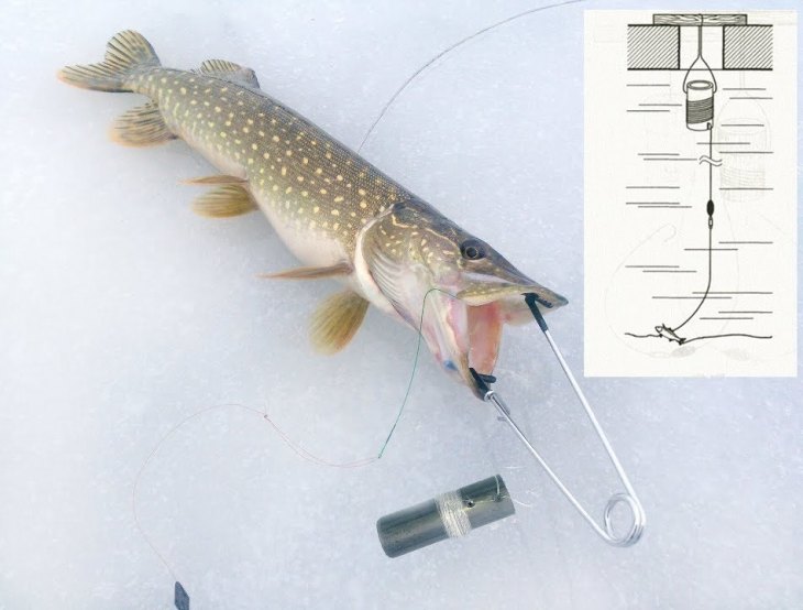 Поставушки на щуку и сазана: зимняя рыбалка и ловля рыбы летом, правила и рекомендации для рыбаков