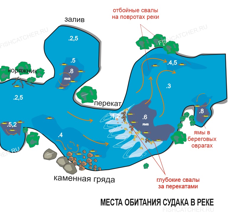 Где клюет рыба? погода для рыбалки. рыбные места :: syl.ru