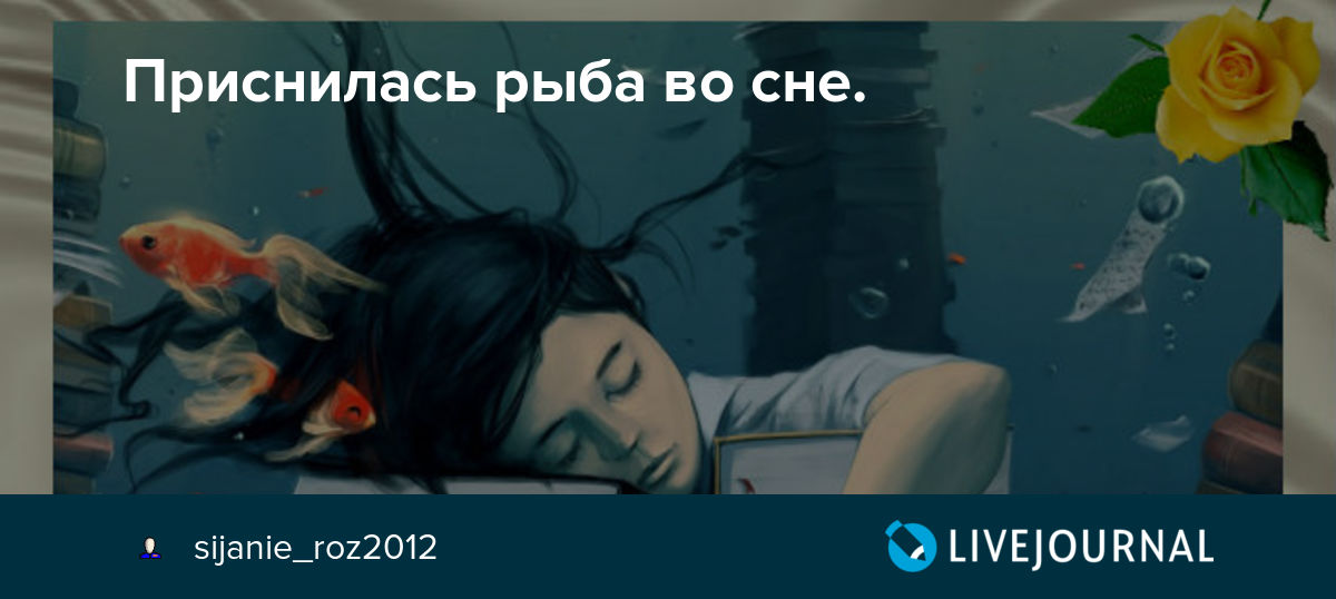 К чему снится живая рыба мужчине: значение и толкование сна