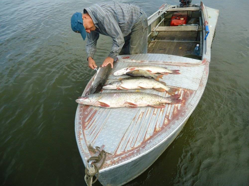 Рыбалка в братске: какая рыба ловится, места клева :: syl.ru