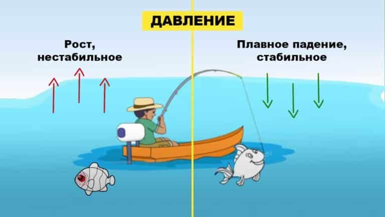 Рыбалка в татарстане зимой и в другие времена года, видео ловли