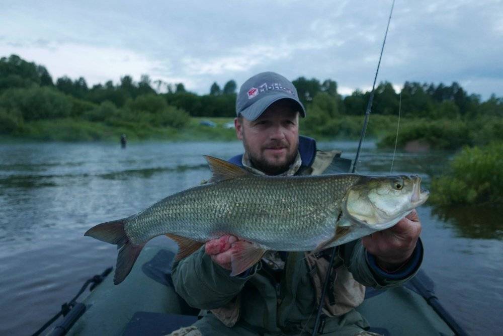 Рыбалка на реке Угре