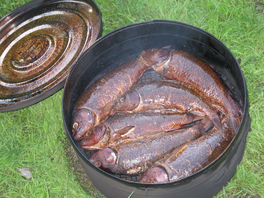 Рецепты для коптильни рыбы на даче
