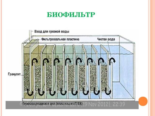 Биофильтры для очистки сточных вод схема