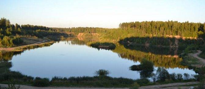 Рыбалка в одинцовском. Озеро Палецкое Одинцовский район. Палецкое озеро Тучково. Рыбалка в Тучково раскаты. Оленье озеро Одинцово.