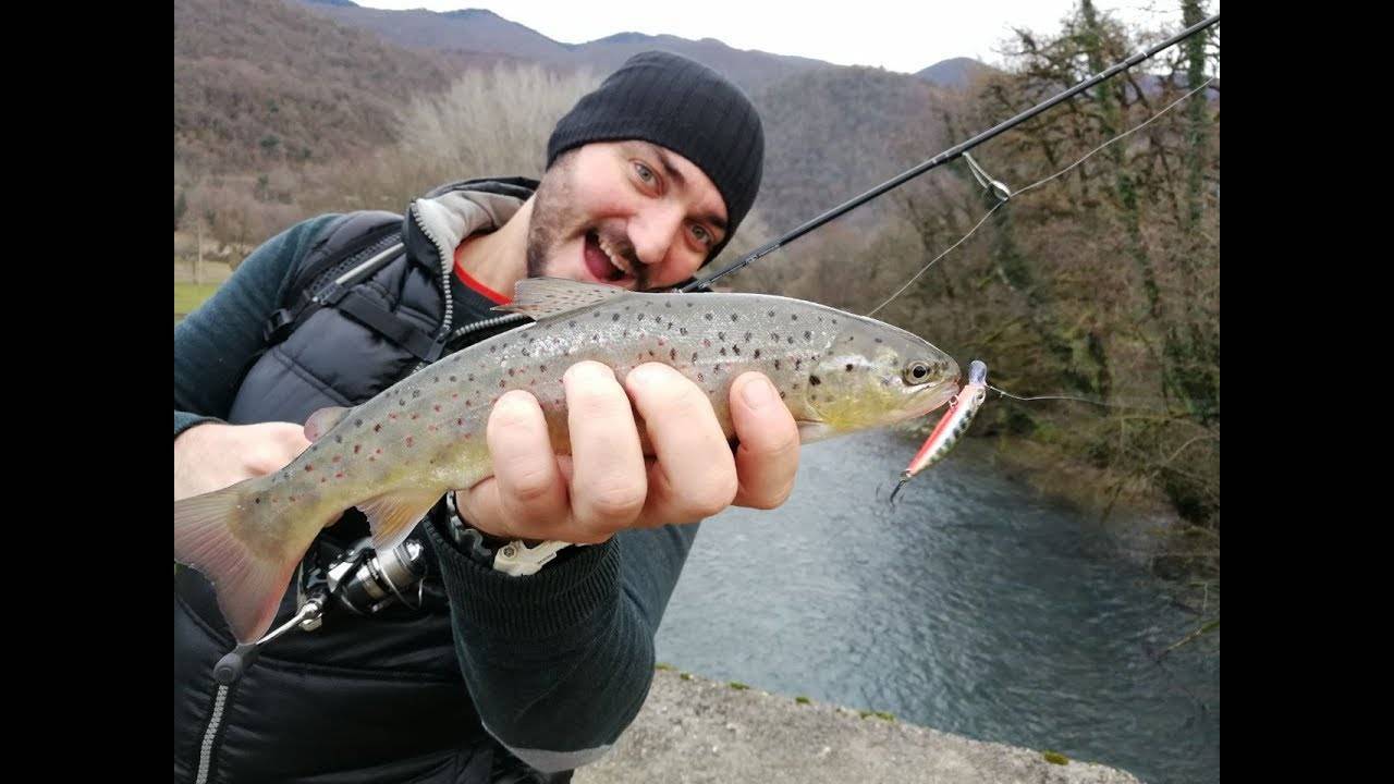 Ловля тайменя на горных реках: особенности рыбы и как ловить