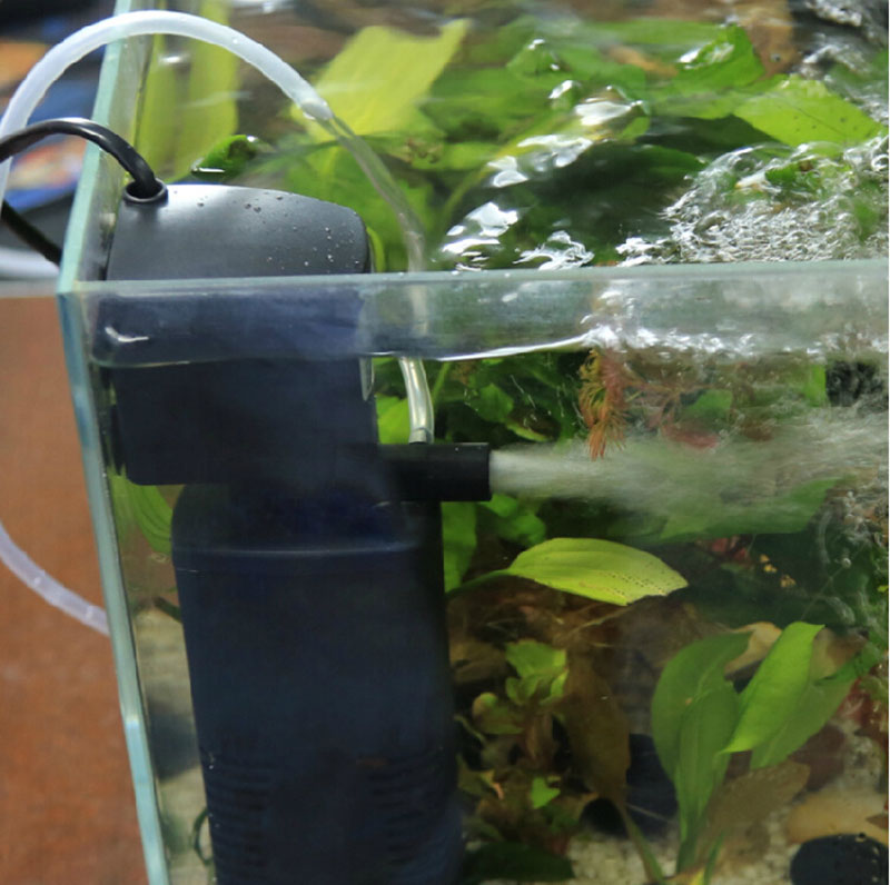 Как правильно установить внутренний фильтр в аквариуме