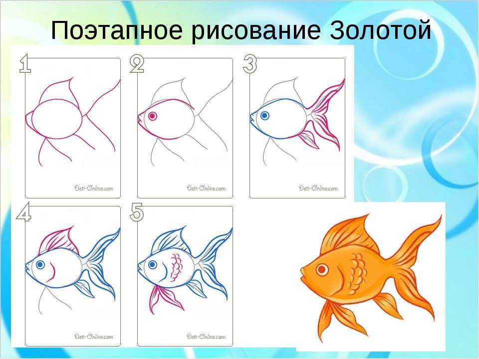 Как нарисовать рыбу: карандашом поэтапно видео