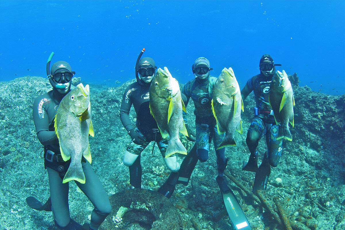 Подводная охота море. Подводная охота. Подводная рыбалка. Подводный охотник. Дайвинг подводная охота.