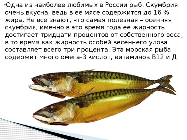 Рыба камбала: польза и вред, пищевая ценность и калорийность