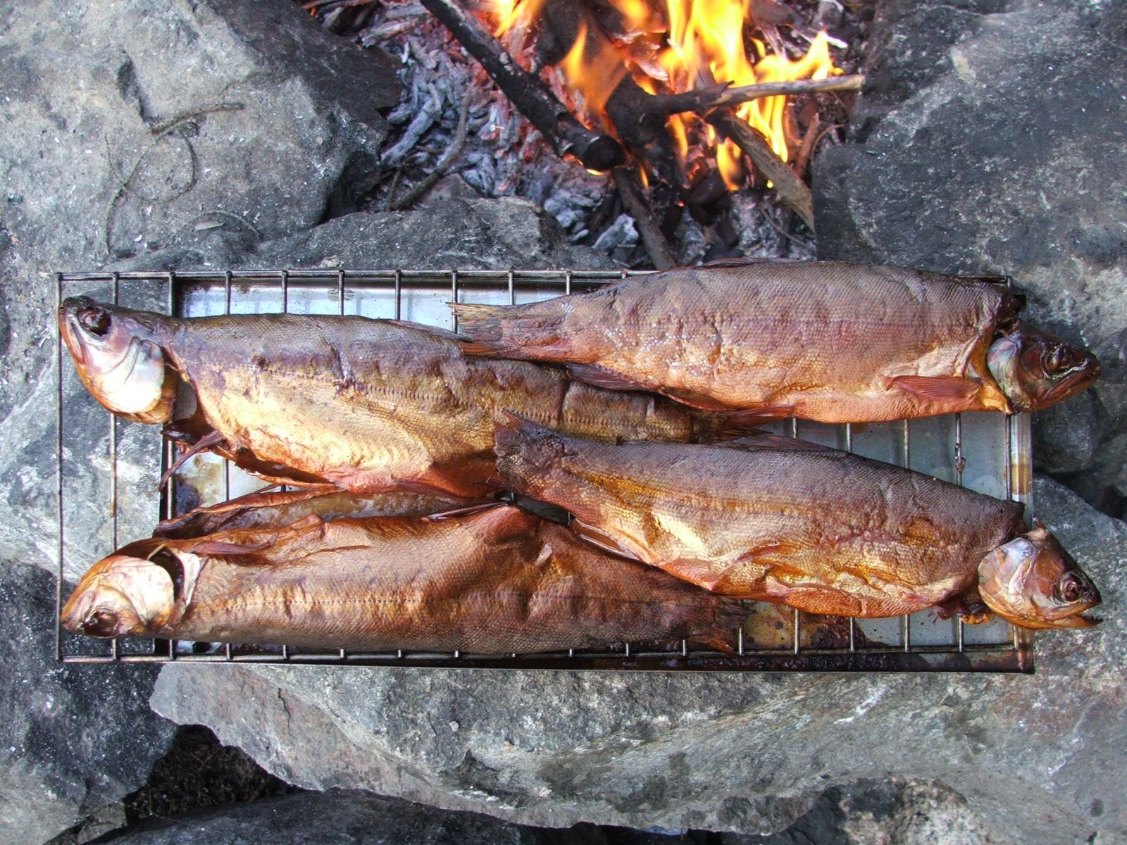 Кета копченая: холодный и горячий методы способы, подготовка, засолка и хранение рыбы