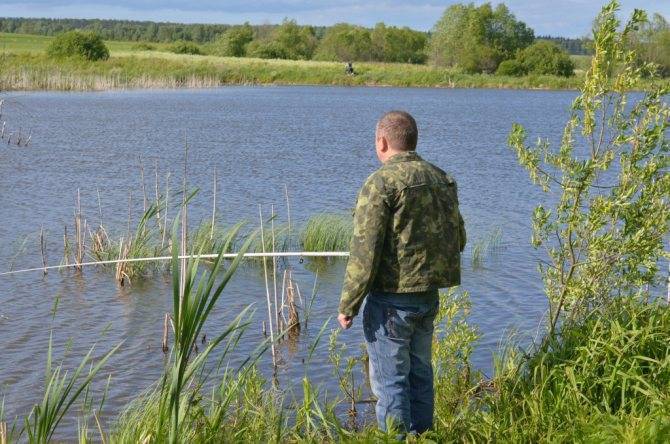 прогноз ловли рыбы пензенская область. Смотреть фото прогноз ловли рыбы пензенская область. Смотреть картинку прогноз ловли рыбы пензенская область. Картинка про прогноз ловли рыбы пензенская область. Фото прогноз ловли рыбы пензенская область