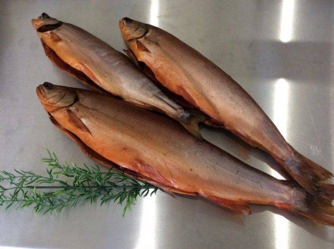 Рыба голец польза и вред, вкусные рецепты. голец — рыба для любителей вкусных рыбных блюд