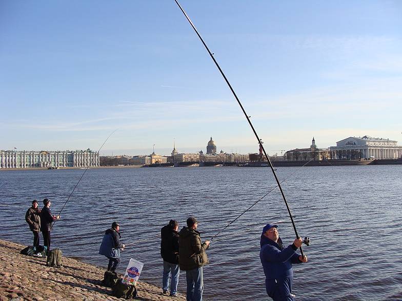 Рыба в неве фото