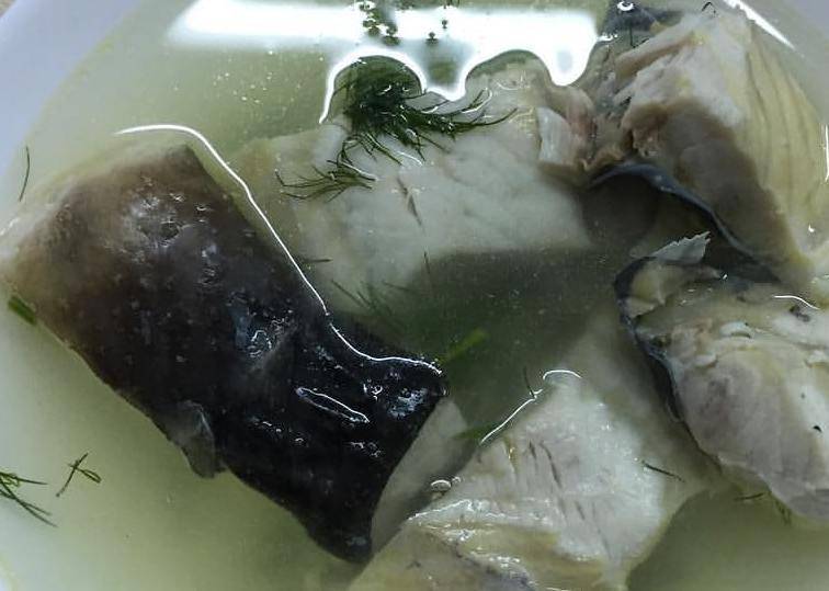 Как варить уху дома из речной рыбы