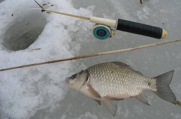Как поймать карася зимой – секреты и методы рыбалки [2019]
