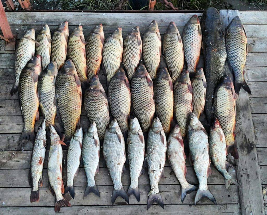 Рыбалка в Одинцовском районе