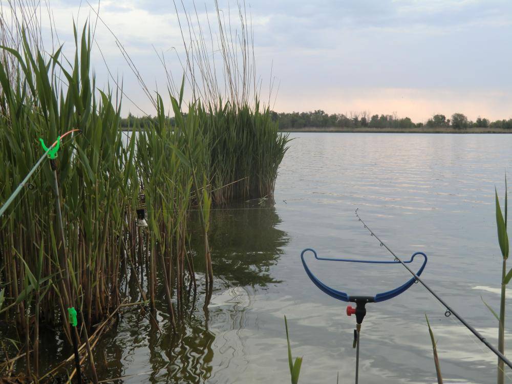 Бесплатная и платная рыбалка в калининградской области сегодня