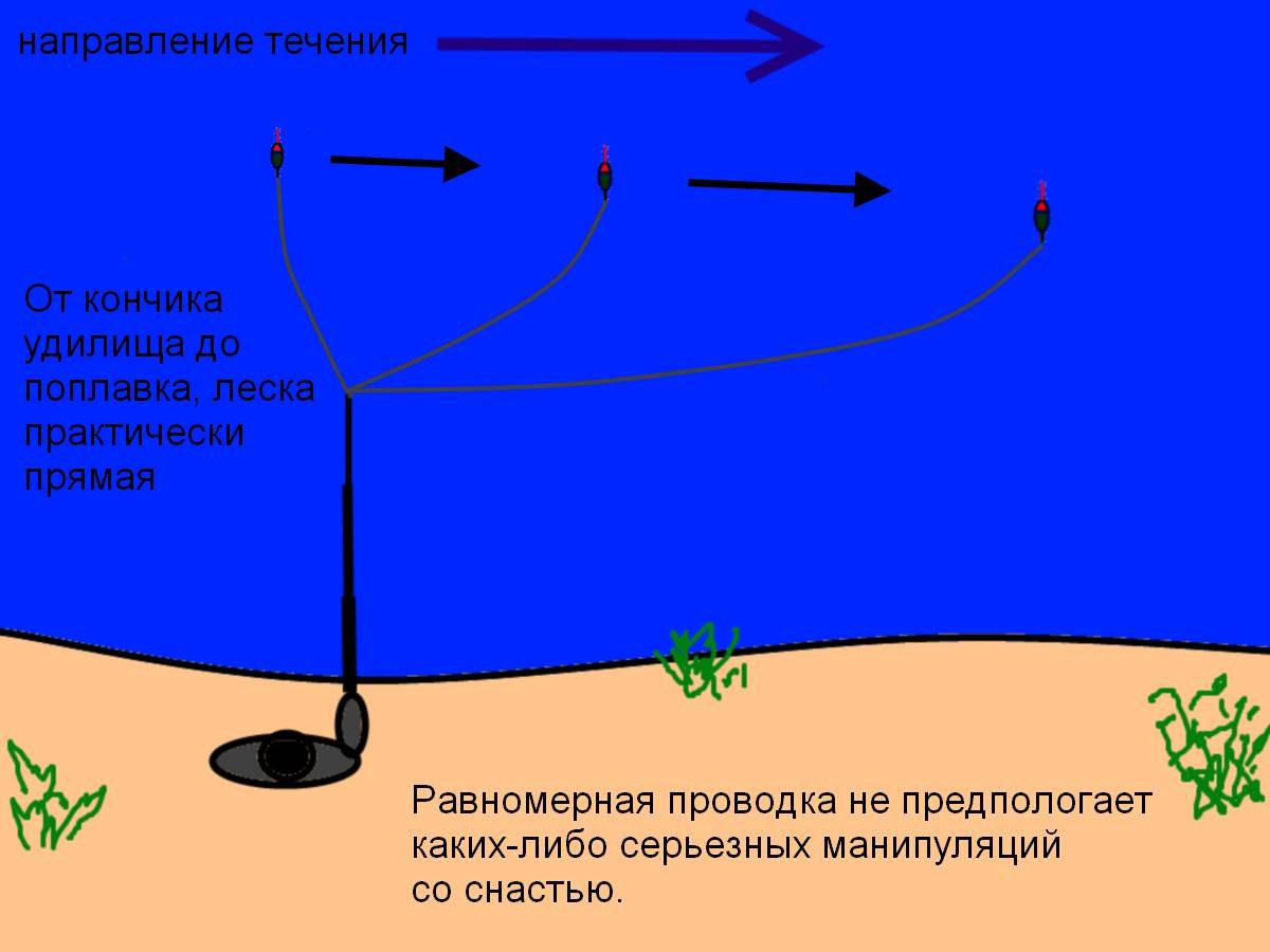 На что ловить леща зимой, весной, летом и осенью: лучшие наживки, приманки и снасти (фидер, кольцо, поплавочная, мормышка, резинка, донка)