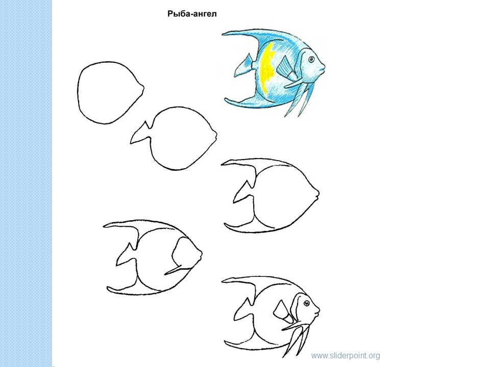 Рисунок о рыбаке и рыбке карандашом – как нарисовать сказку? | рисуем поэтапно сказку маша и медведь, колобок, о рыбаке и рыбке уроки рисования для начинающих, мультики, раскраски.
