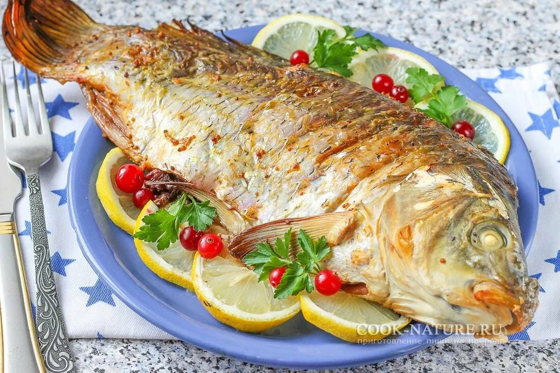 Рыба сазан: 6 вкусных рецептов приготовления, как запечь в духовке или пожарить на сковороде