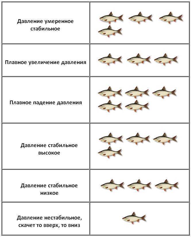 какое самое лучшее давление для ловли рыбы