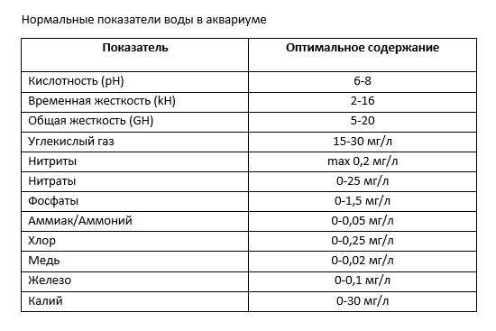 Вода для аквариума в домашних условиях: какая нужна, как подготовить, какая должна быть, аквариумная вода для рыб