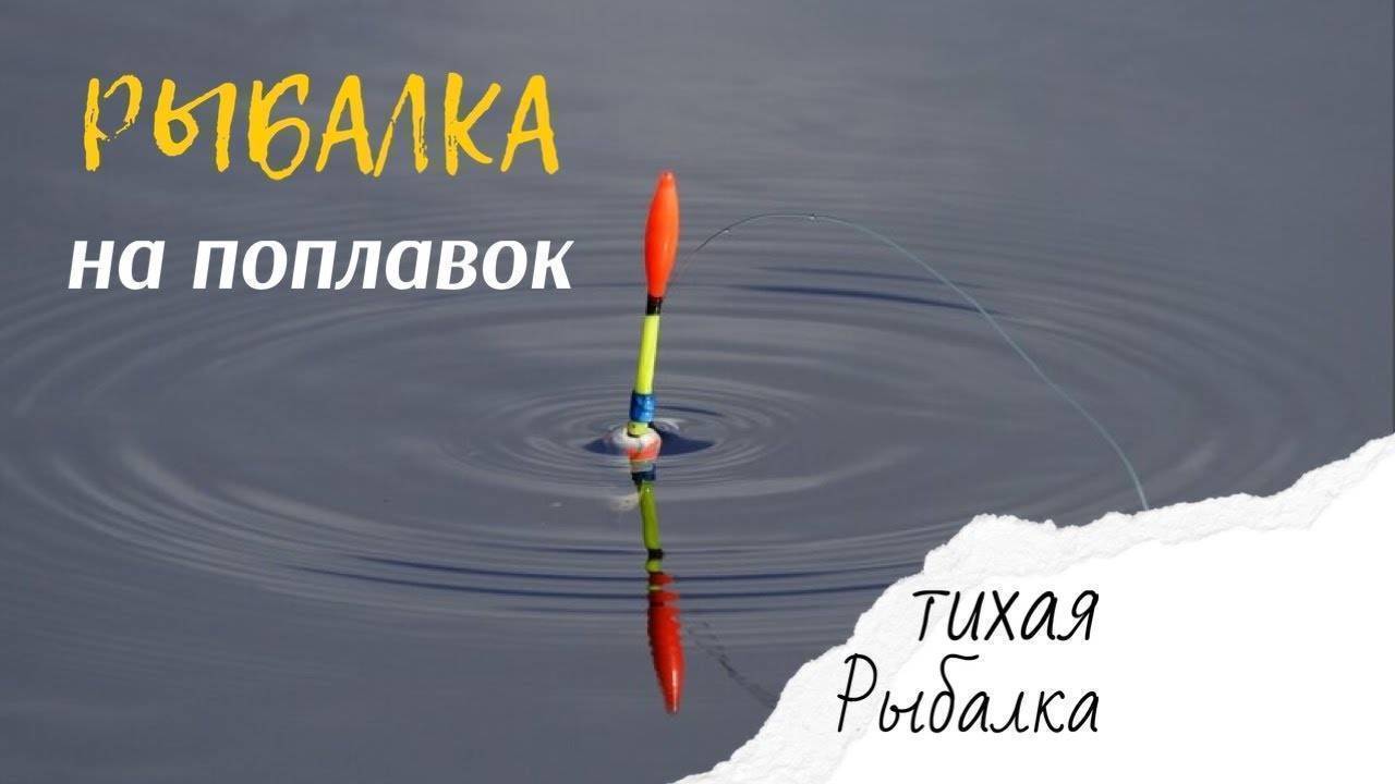 Поплавочная снасть на плотву. Поклевка на поплавок. Ловля плотвы весной на поплавочную удочку.