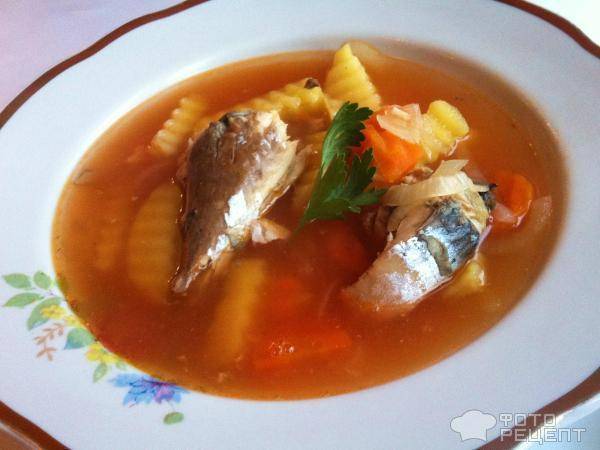 Как сварить суп из скумбрии — 5 рецептов из свежемороженой рыбы