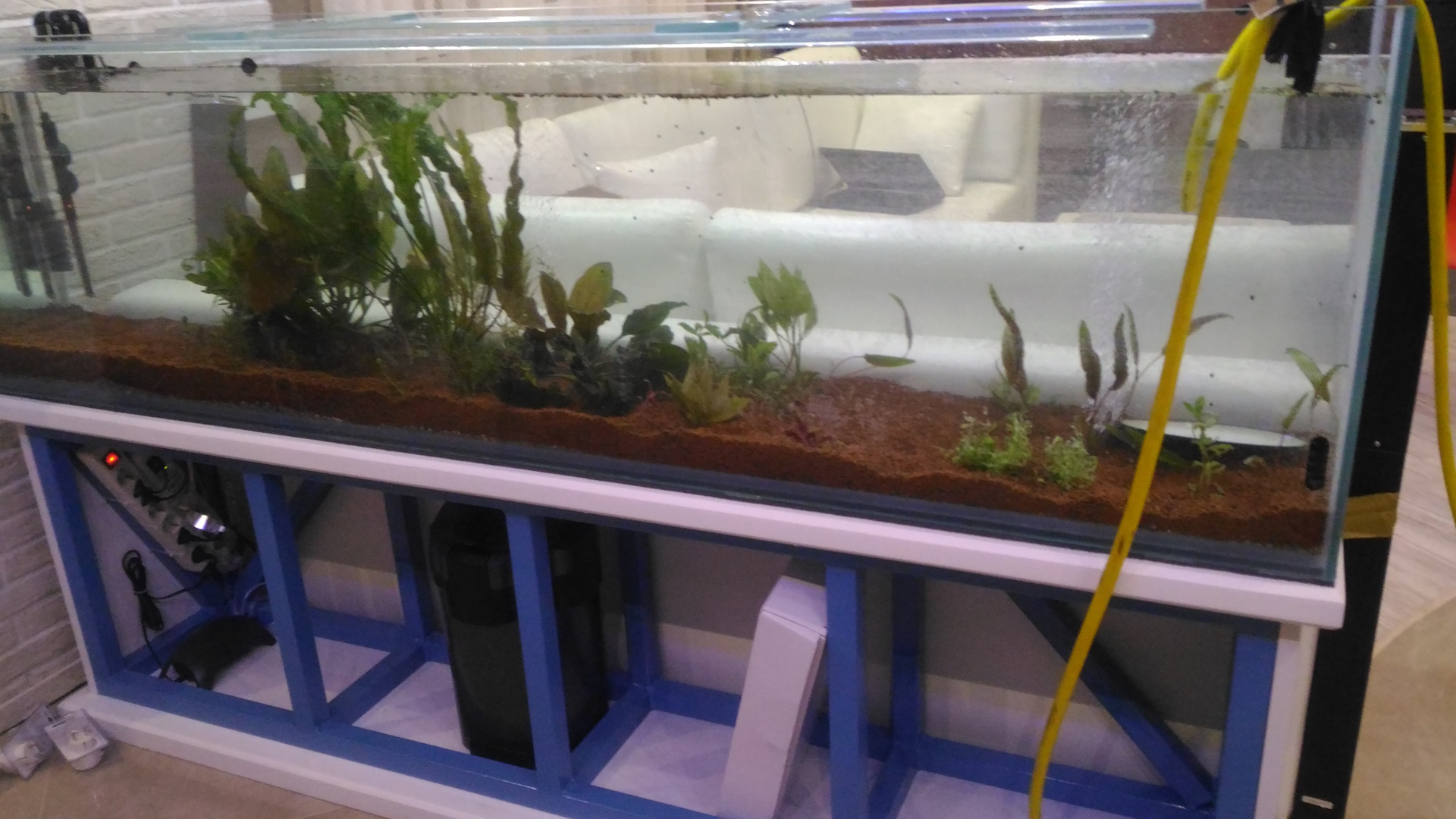 Запуск аквариума: запуск аквариума с нуля пошаговая инструкция, как запустить аквариум в первый раз, как правильно