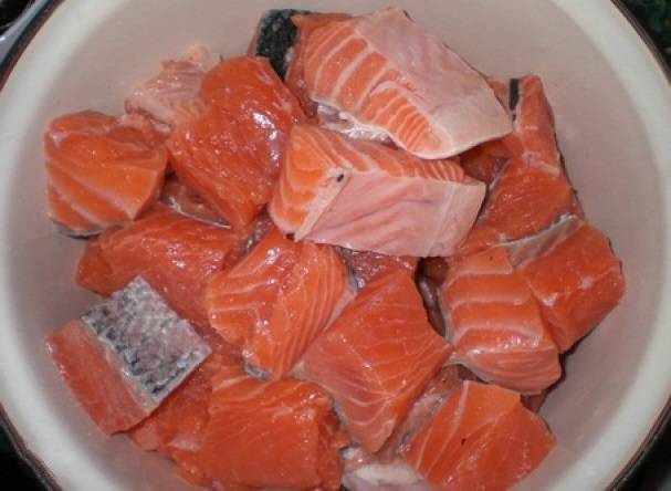 Шашлык из красной рыбы под апельсиновым маринадом / шашлык / tvcook: пошаговые рецепты с фото