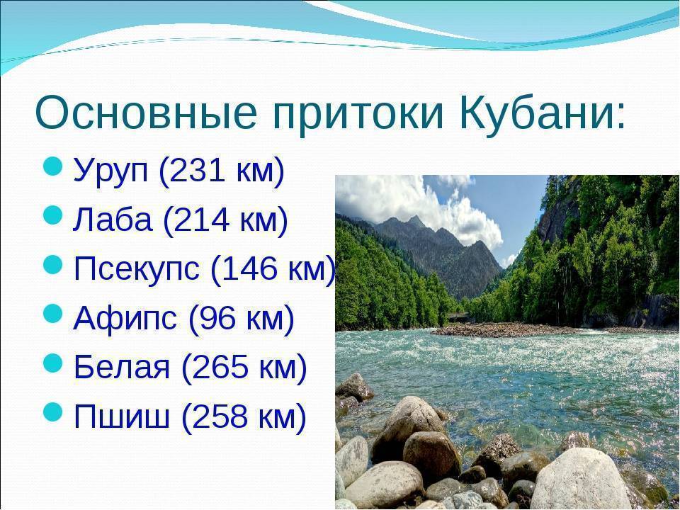 Температура воды в реке кубань. Река Кубань кубановедение 2 класс. Река Кубань притоки реки. Притоки Кубани Краснодарского края. Водоёмы Краснодарского края.