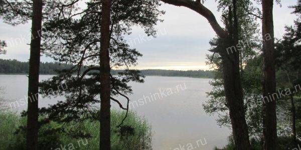 ✅ озеро череменецкое лужский район рыбалка - danafish.ru