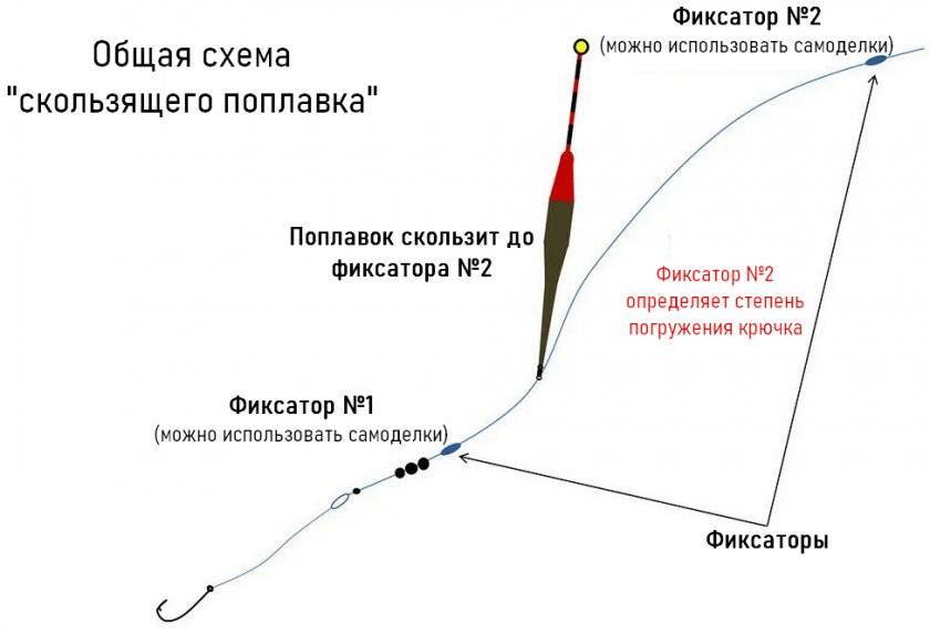 Какой спиннинг лучше - штекерный или телескопический? обзор, сравнение и рейтинг спиннингов - truehunter.ru