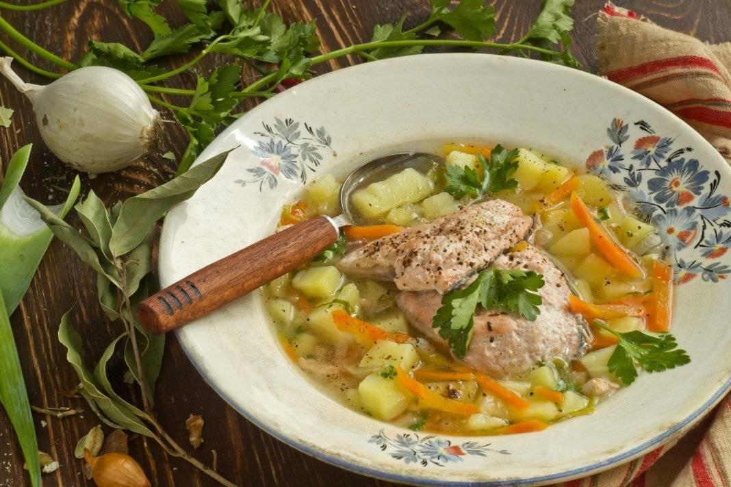 Уха из красной рыбы - оригинальные рецепты вкусного и сытного супа