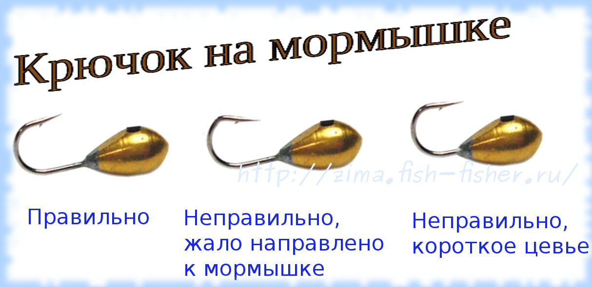 Гаммарус (бокоплав, мормыш): что это такое, особенности жизненного цикла