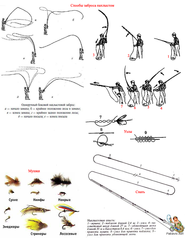 Нахлыст: ловля нахлыстом для начинающих, выбор шнура и подлеска, катушки и других снастей для рыбалки