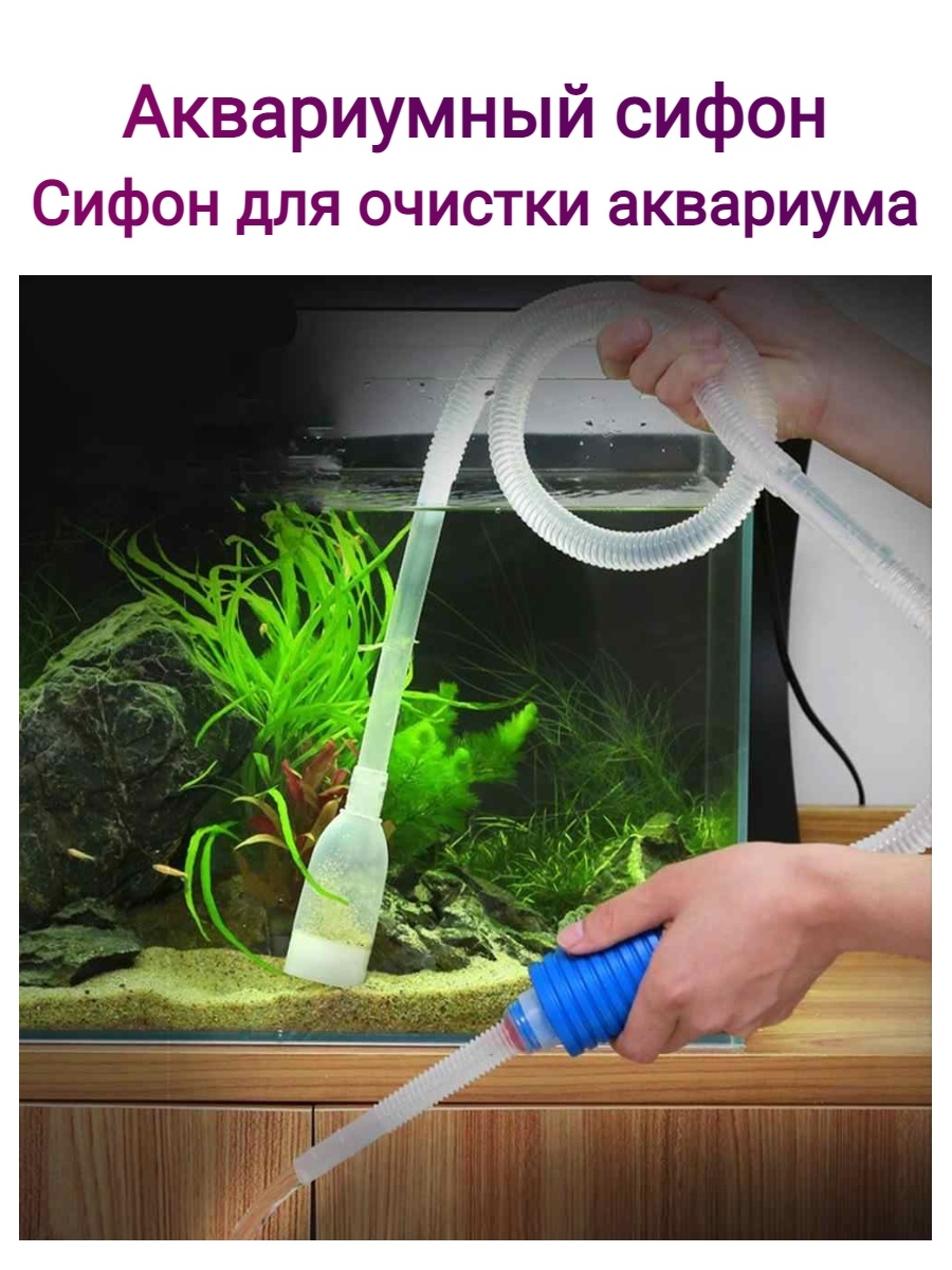 Чистка аквариума: алгоритм и переодичность уборки