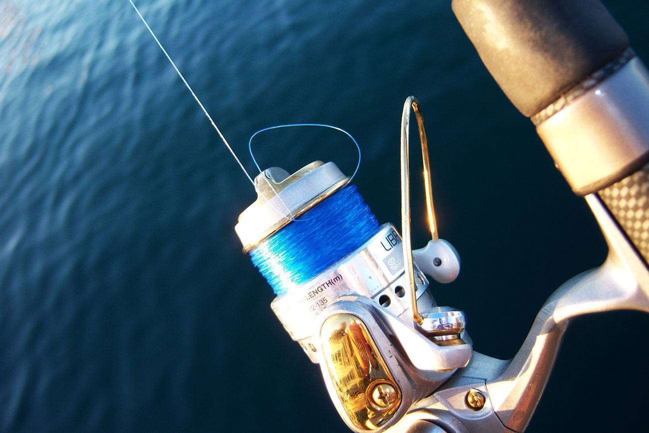 Рыбалка на спиннинг | спиннинг клаб - советы для начинающих рыбаков
леска для спиннинга – какая лучше? рейтинг топ 5