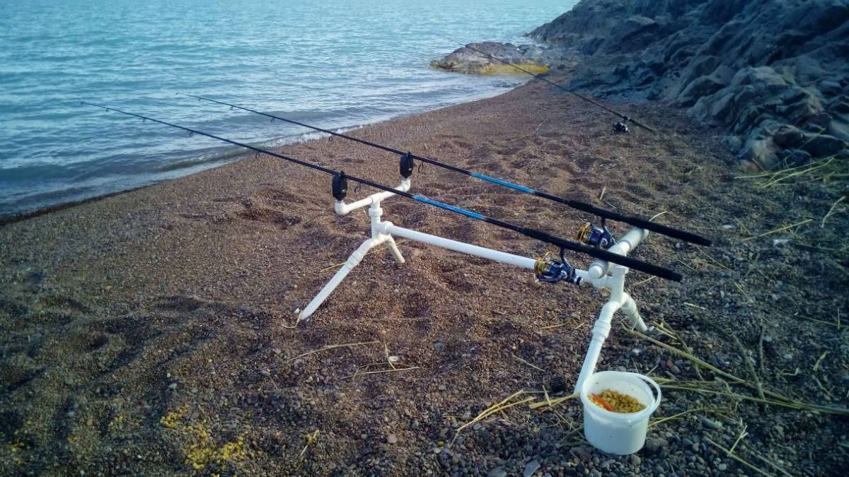 Большая рыбалка в карагандинской области: популярные водоемы региона, виды рыбы