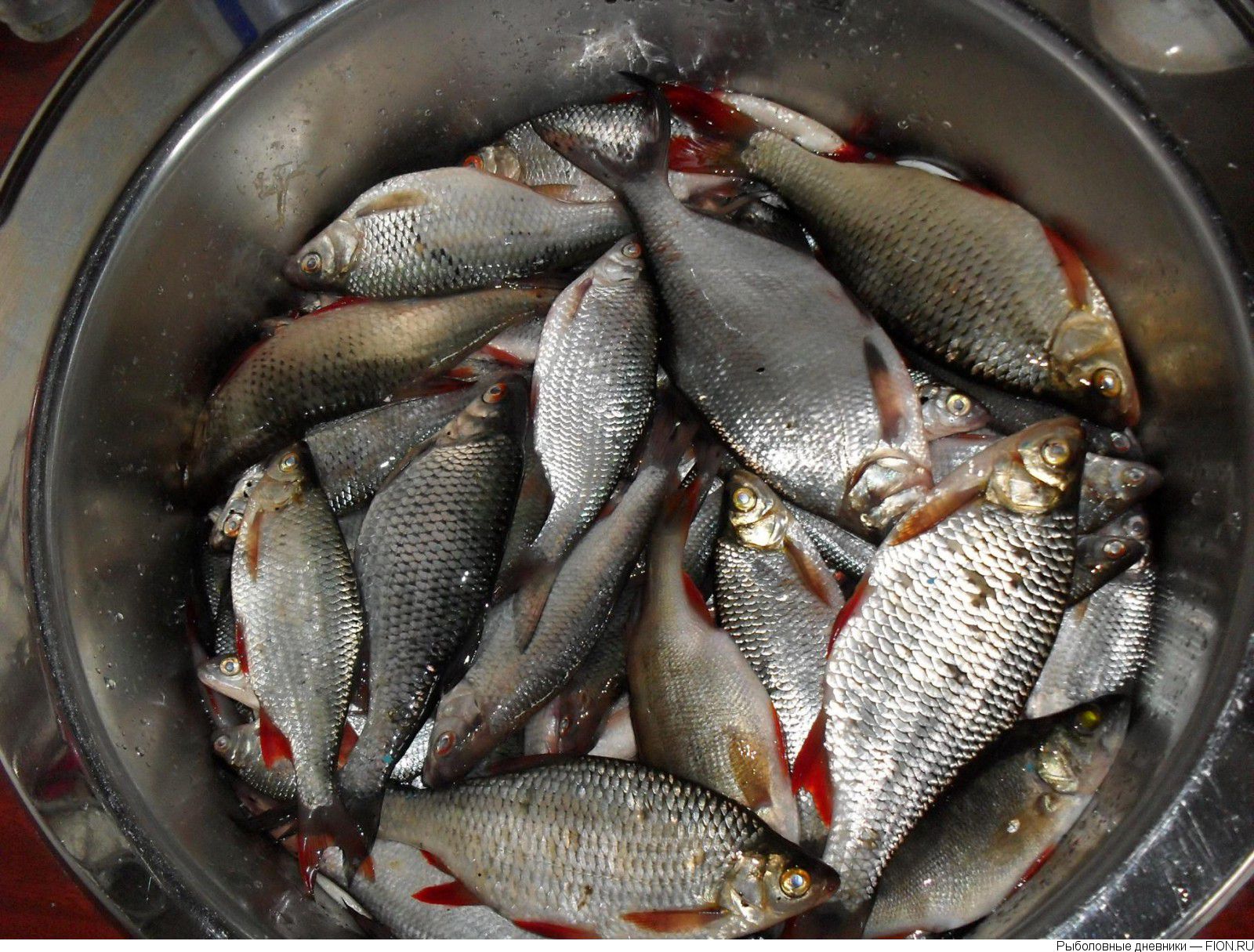 Как приготовить красноперку рыбу в духовке