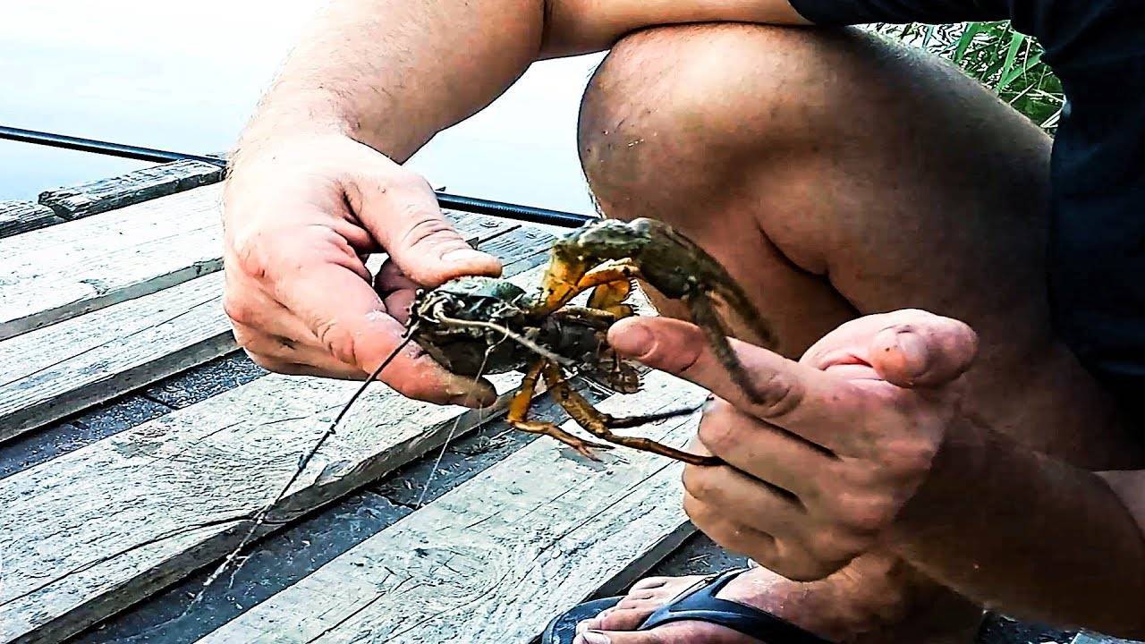 Как ловить раков по открытой воде | снасти и способы ловли раков