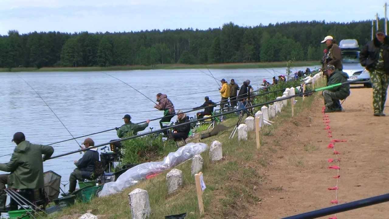 Прогноз клёва рыбы в городе могилёв - рыба