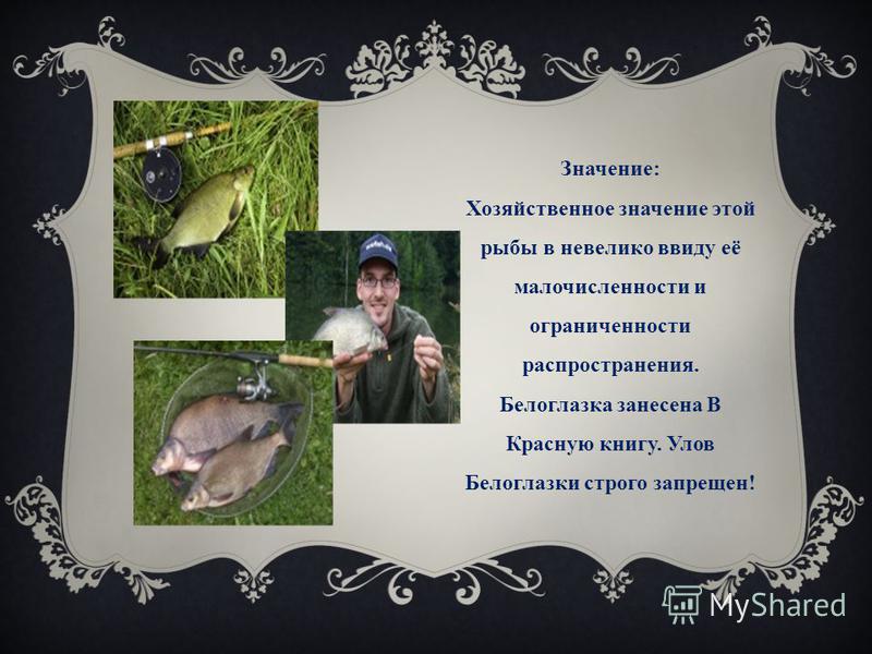Красивые стихи, берущие за душу — о жизни и любви