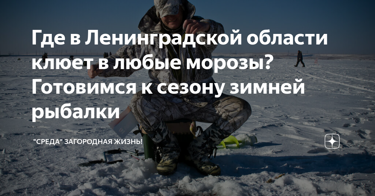 Где в Ленинградской области клюет в любые морозы? Готовимся к сезону зимней рыбалки