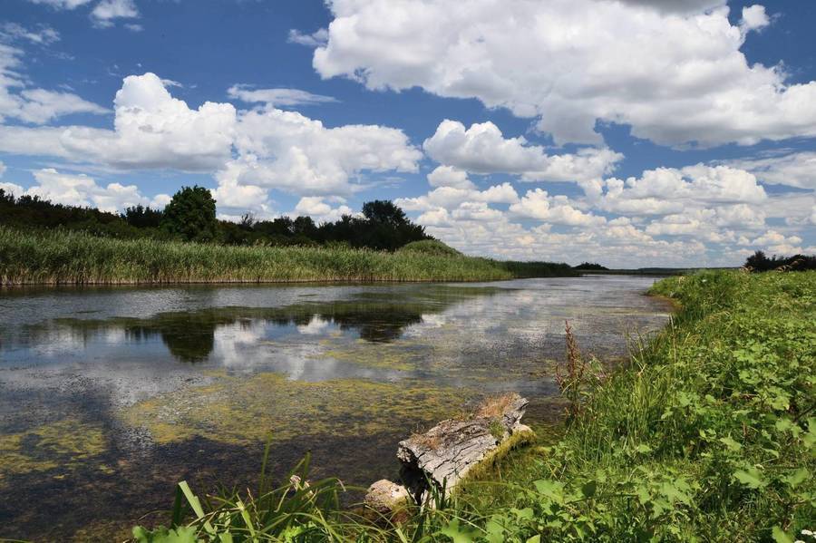 Елань река