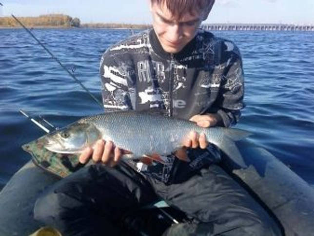 Рыбалка в кемеровской области – самые уловистые места